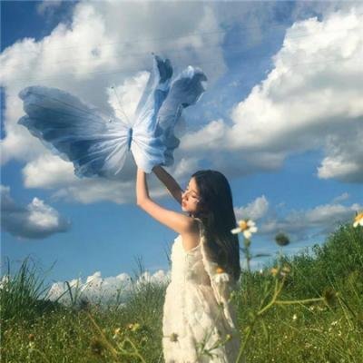 鸟是海与树的孩子 在线观看